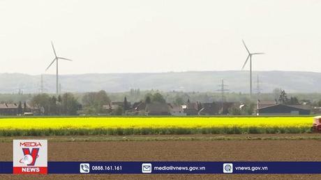 EU đẩy mạnh phục hồi hệ sinh thái