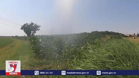 Italy đối mặt nguy cơ khủng hoảng lương thực