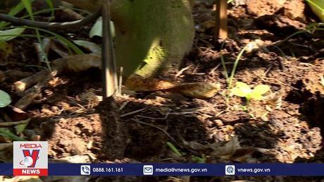 Lào hạn chế chuyển đổi đất nông nghiệp