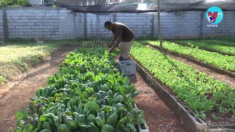 Nhật trình kinh tế ngày 23/6/2022