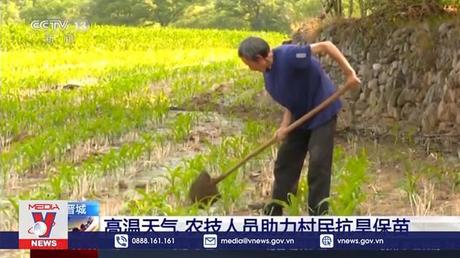 Nắng nóng bất thường đe dọa mùa màng tại Trung Quốc