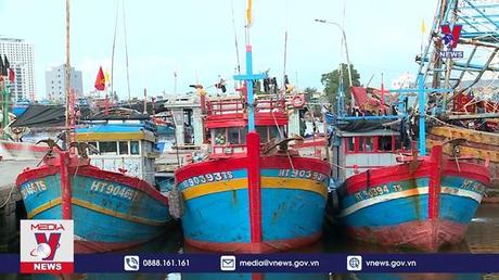 Bản tin Thời sự 11h ngày 23/6/2022