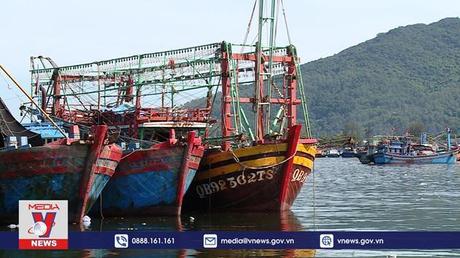 Tàu cá nằm bờ vì giá xăng dầu tăng kỷ lục