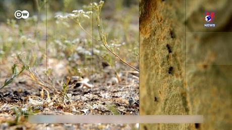 Tạp chí toàn cầu số 546 ngày 24/6/2022