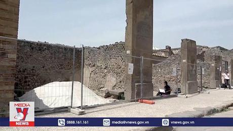 Phát hiện hóa thạch rùa và trứng tại thành cổ Pompeii