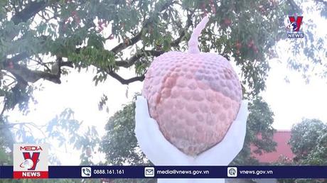 Bản tin Thời sự 8h ngày 24/6/2022