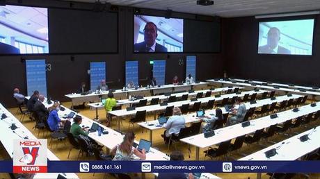 WHO cảnh báo sự lây lan của bệnh đậu mùa khỉ trên toàn cầu