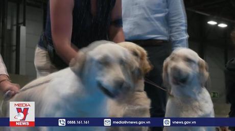 Tây Ban Nha tổ chức triển lãm cún cưng quốc tế