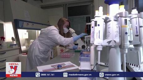 Virus đậu mùa khỉ đột biến với tốc độ chưa từng có