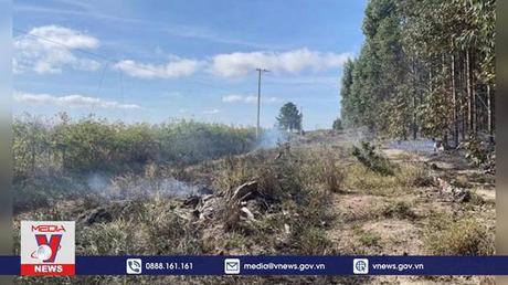 Máy bay rơi và bốc cháy ở Brazil