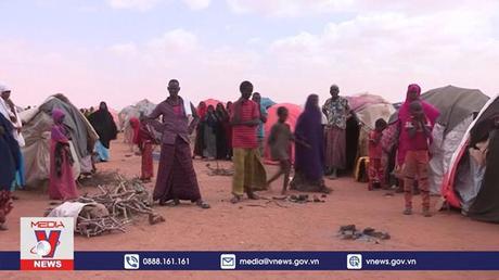 Quốc hội Somalia bổ nhiệm Thủ tướng mới