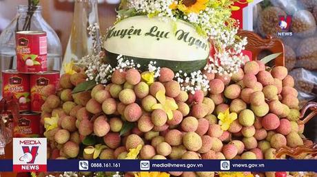 Xử lý nghiêm trường hợp đăng tin sai sự thật về vải thiều Lục Ngạn 