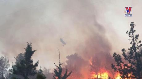 Cuộc sống xanh ngày 26/6/2022