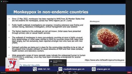 WHO chưa coi đậu mùa khỉ là tình trạng khẩn cấp y tế toàn cầu