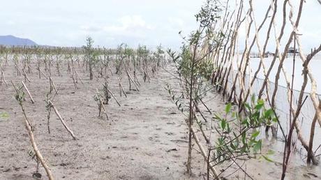 Kiên Giang dành hơn 1.220 tỷ đồng phòng, chống thiên tai