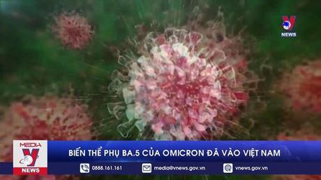 Biến thể phụ BA.5 của Omicron đã vào Việt Nam