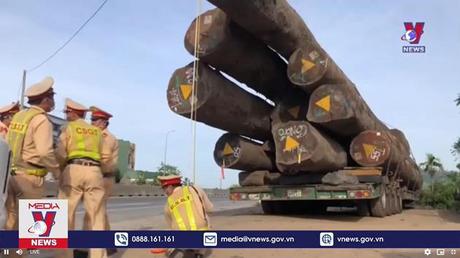 Tạm giữ ô tô đầu kéo chở số gỗ lim “khủng” có dấu hiệu quá khổ
