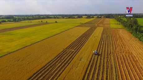 Bản tin tiếng Trung ngày 29/6/2022