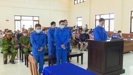 Xét xử liên tiếp 2 vụ phá rừng tại huyện Kon Plông