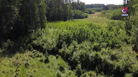 Nhật trình kinh tế ngày 29/6/2022