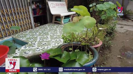 Đồng Tháp triển khai chiến dịch diệt lăng quăng