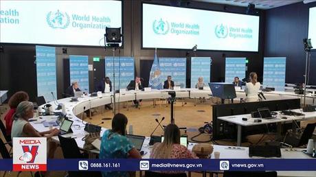 WHO cảnh báo nguy cơ bệnh đậu mùa khỉ lây lan