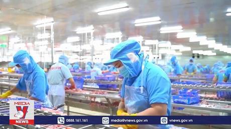 Kinh tế phục hồi tạo đà tích cực cho thu ngân sách