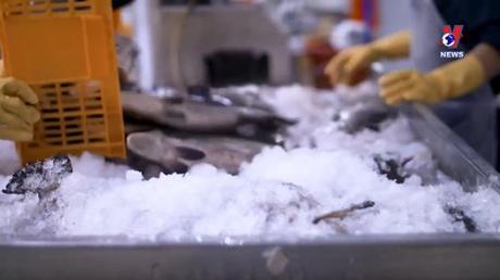 Nhật trình kinh tế ngày 30/6/2022