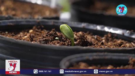 Bước ngoặt phát triển cây trồng chịu hạn cao