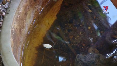 Câu chuyện sức khỏe ngày 02/7/2022