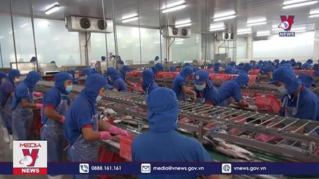 Hàng hóa Việt bị điều tra phòng vệ thương mại ngày càng tăng