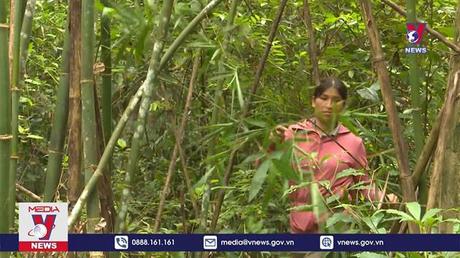 Bản tin Thời sự 18h ngày 02/7/2022