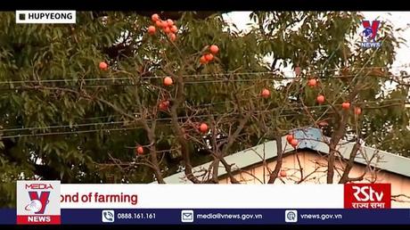 Bản tin thời sự 11h ngày 02/7/2022