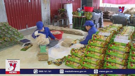 Để phát huy vai trò của Hợp tác xã