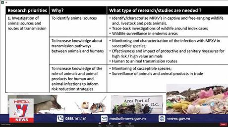 Nghiên cứu mới về triệu chứng của bệnh đậu mùa khỉ