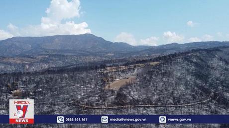 Lính cứu hỏa châu Âu hỗ trợ Hy Lạp chống cháy rừng