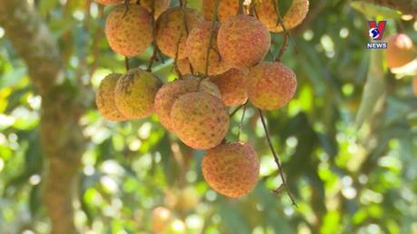 Bản tin tiếng Anh ngày 3/7/2022