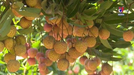 Bản tin tiếng Trung ngày 03/7/2022