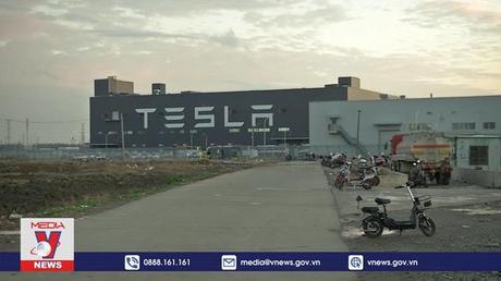 Đức thu hồi một số mẫu xe của Tesla