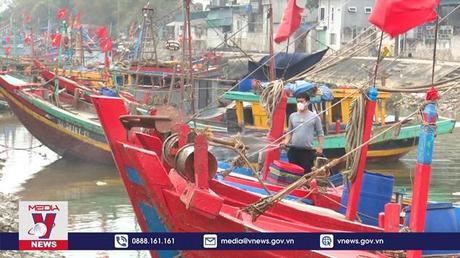 Trên 57% tàu cá 67 của Nghệ An lâm cảnh nợ xấu  