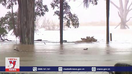 Australia chống chọi trận lũ 