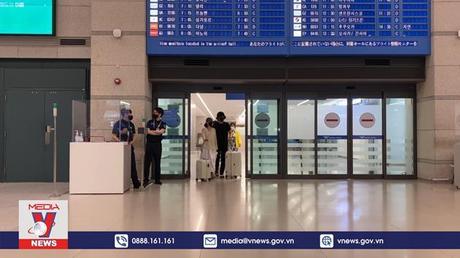 Hàng không Hàn Quốc tăng trưởng sau dịch