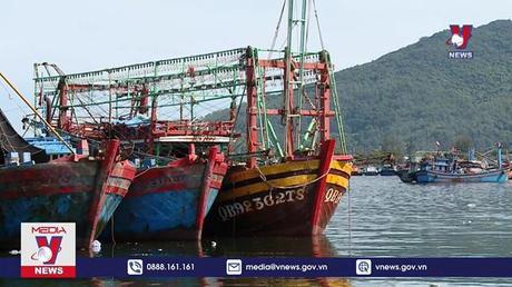 Nghiên cứu hỗ trợ ngư dân bị ảnh hưởng do giá xăng dầu