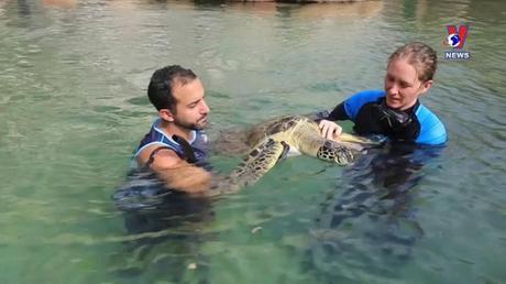 Đường dây nóng 389 ngày 06/7/2022