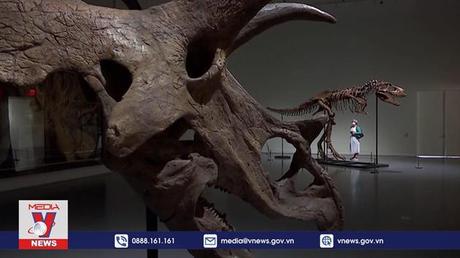 Đấu giá bộ xương khủng long