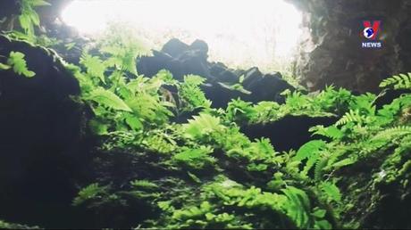 Thông điệp lịch sử ngày 07/7/2022