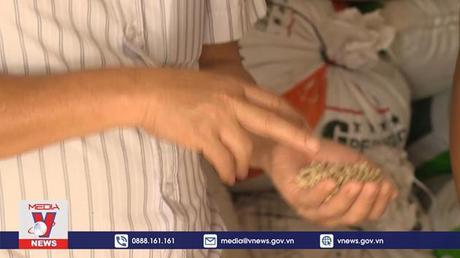 Quảng Bình kiểm soát dịch tả lợn châu Phi