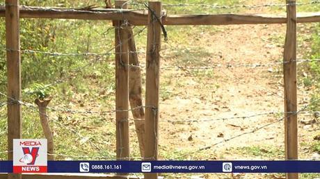 Xử lý trường hợp lấn chiếm đất rừng phòng hộ xây nhà trái phép