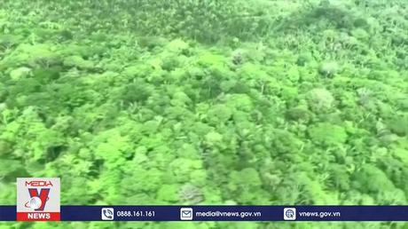 Rừng Amazon bị tàn phá nghiêm trọng nhất trong lịch sử