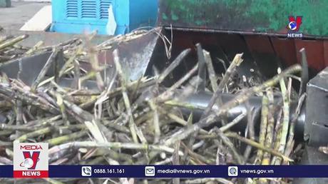 Quy định mới về hạn ngạch nhập khẩu đường 